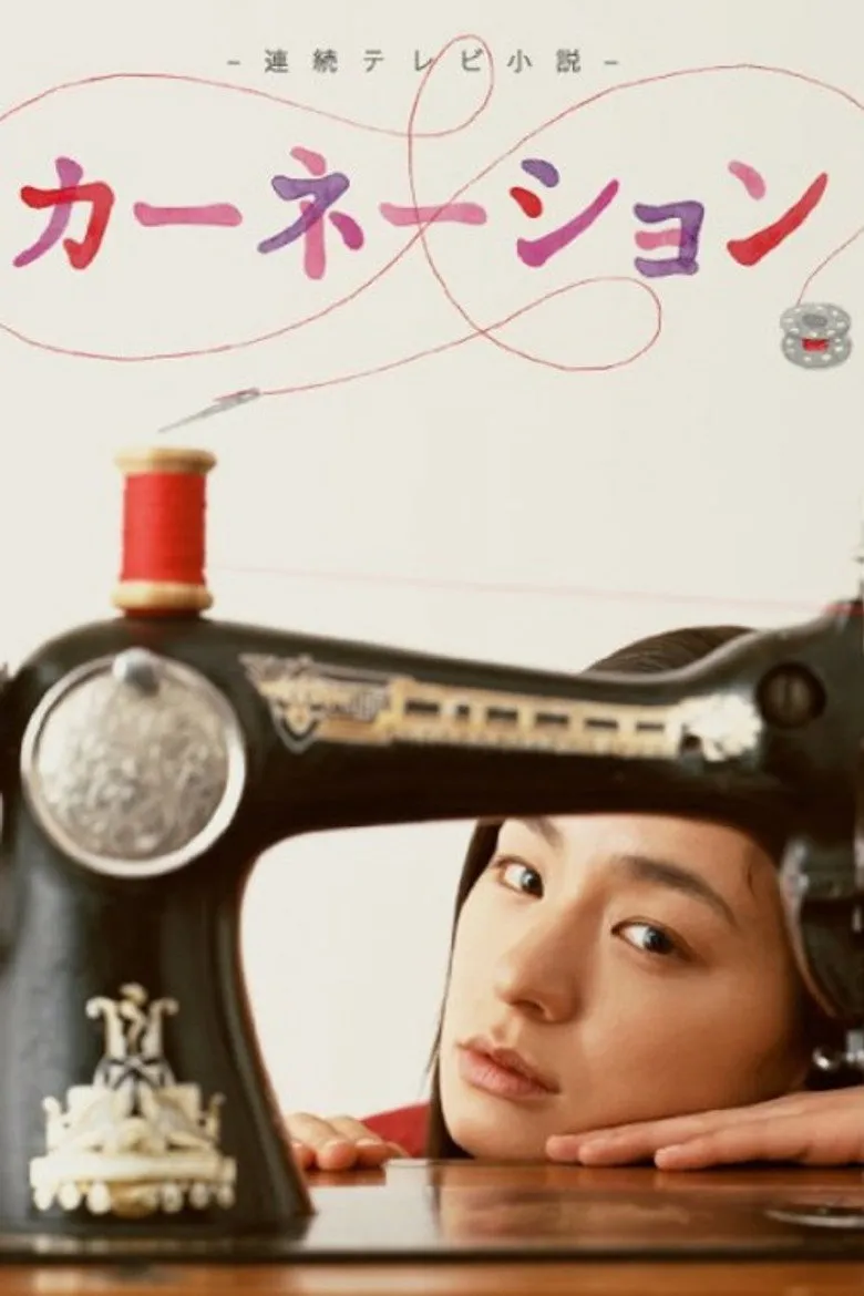康乃馨