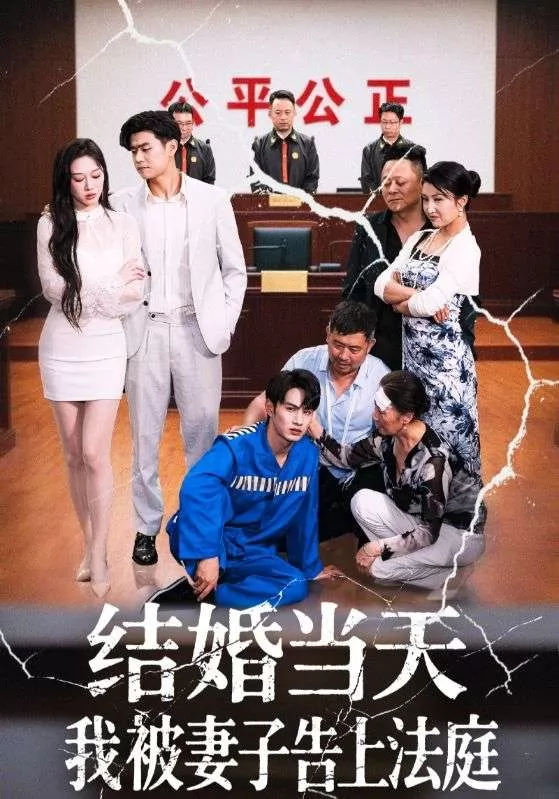 结婚当天我被妻子告上法庭